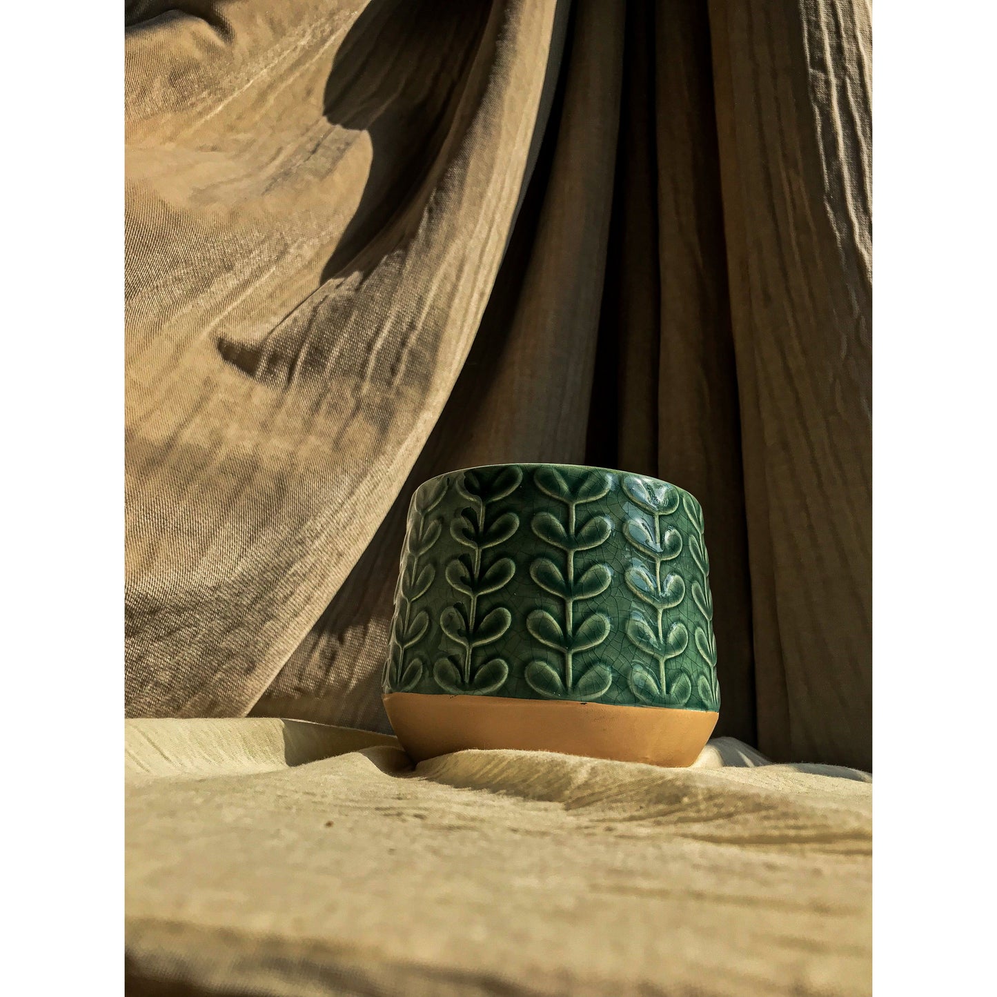 A green ceramic planter with an embossed leaf pattern on the upper portion and a natural, unglazed ceramic base.