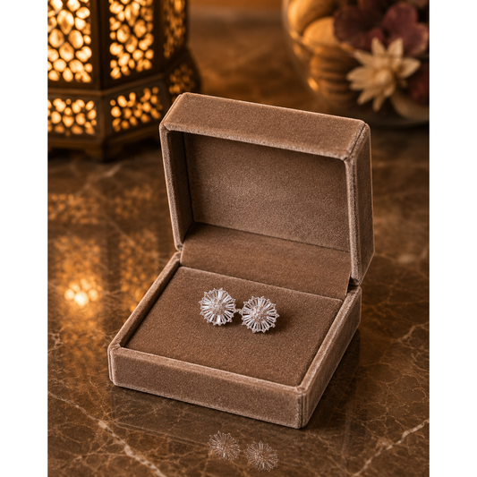 Silver starburst zircon stud earrings displayed in mocha gold velvet jewelry box on cocoa marble surface