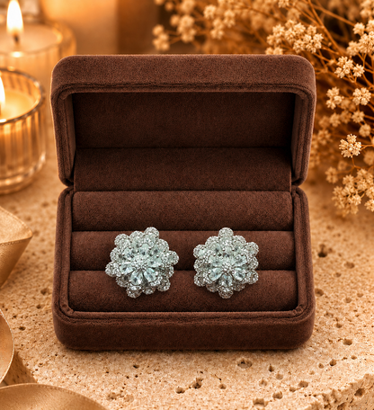 Silver floral crystal stud earrings displayed in premium brown velvet jewelry box with warm luxury styling.